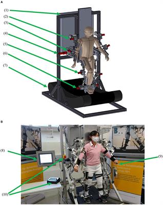 Mechanical Design and Control System Development of a Rehabilitation Robotic System for Walking With Arm Swing